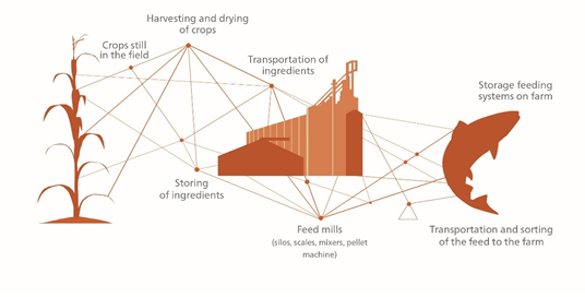 Mycotoxins In Aquaculture Alltech